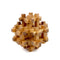 Aramas Wooden Brain Teaser Puzzle 